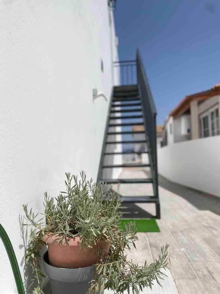 Casa Ramiro T2 Paradisiaco Entre O Mar E A Ria Ilha da Culatra Exteriér fotografie